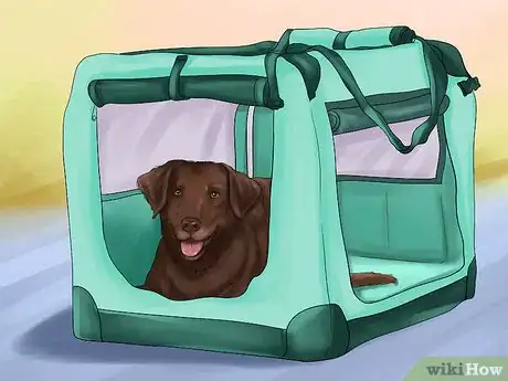 Image titled Buy a Puppy Crate Step 7