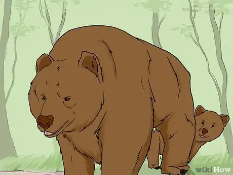 Image titled Survive a Bear Attack Step 2