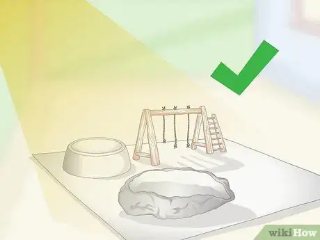 Image titled Clean and Maintain Lory and Lorikeet Habitats Step 7