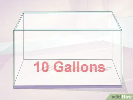 Image titled Keep Crystal Red Shrimp Step 1