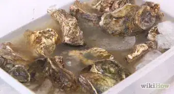 Store Fresh Oysters