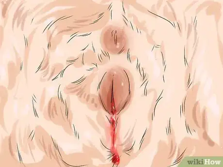 Image titled Promote Safe Whelping for Short Legged Dog Breeds Step 6