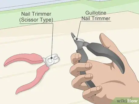 Image titled Buy Necessary Supplies for Your New Cat Step 11