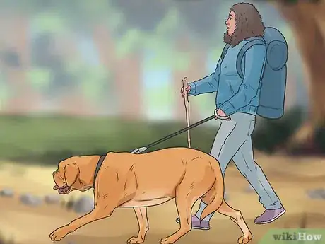 Image titled Have Your Dog Taken Care of During a Vacation Step 12