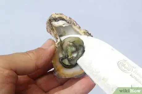 Image titled Fry Oysters Step 13