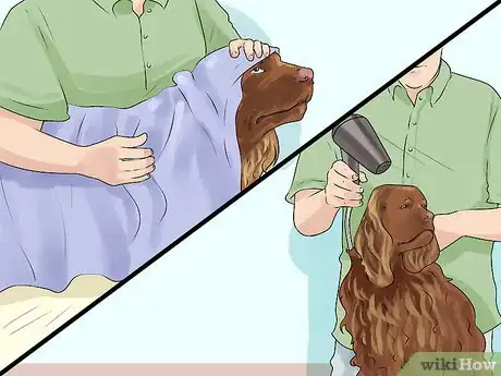 Image titled Groom a Sussex Spaniel Step 9