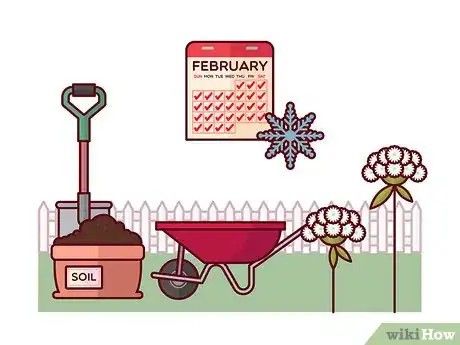 Image titled Grow Toothpick Weed Step 2