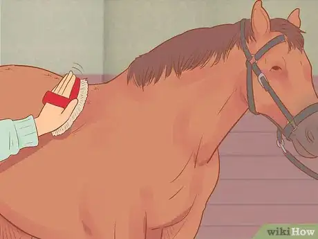 Image titled Tack Up Using English Tack Step 3