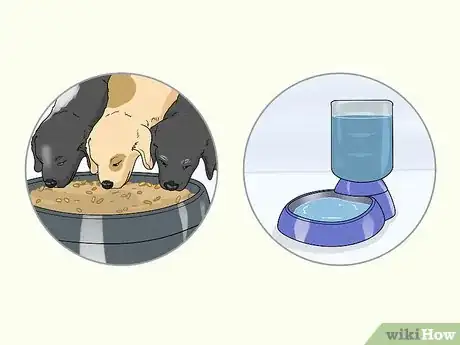 Image titled Identify a Puppy Mill Step 15