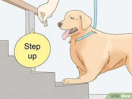 Image titled Train a Blind Dog to Handle the Stairs Step 2