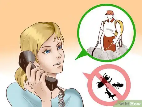 Image titled Catch a Lizard in the House Step 14