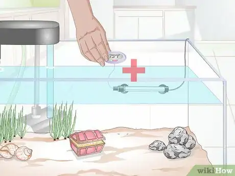 Image titled Set up a Community Fish Tank Step 6