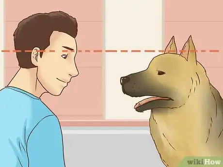 Image titled Interact with a Dog Before Adopting It Step 6