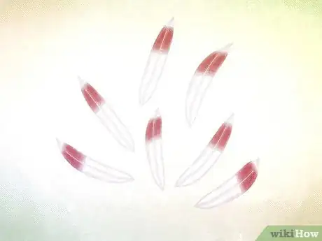 Image titled Make a Warbonnet Step 1