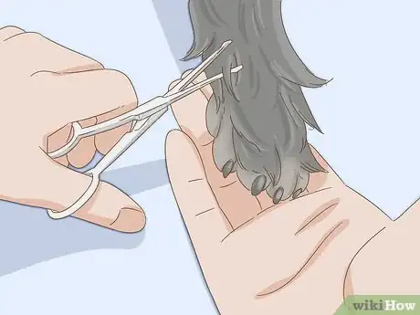 Image titled Groom an Affenpinscher Step 15