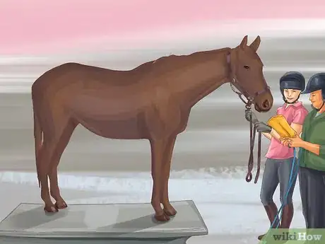 Image titled Monitor a Horse's Weight in Winter Step 3