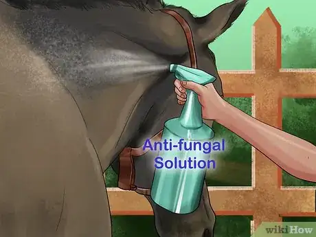 Image titled Treat Skin Disorders in Horses Step 10