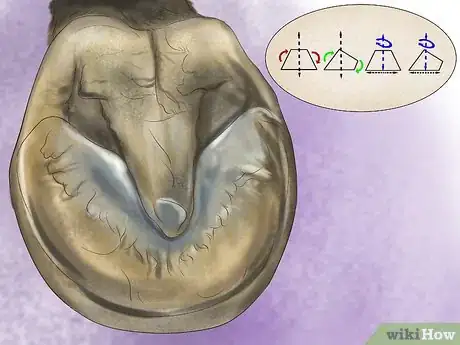 Image titled Maintain Good Hoof Care on Your Horse Step 16