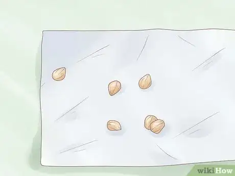 Image titled Germinate Seeds Guaranteed Without Soil or Medium for Garden or Hydroponics Step 2