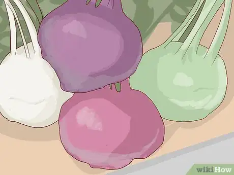 Image titled Select and Store Kohlrabi Step 5