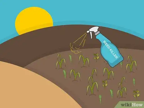 Image titled Plant a St Augustine Sod Step 02