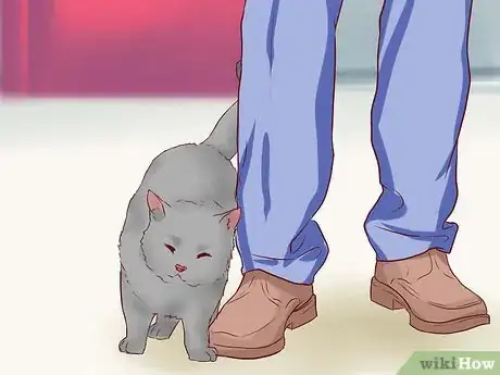 Image titled Bond With Your Cat Step 5