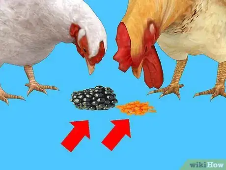 Image titled Feed Chickens Organically Step 3