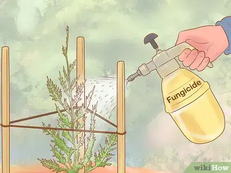 Image titled Plant Leyland Cypress Step 23