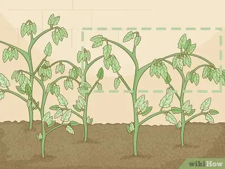 Image titled Identify Cutworm Damage Step 3