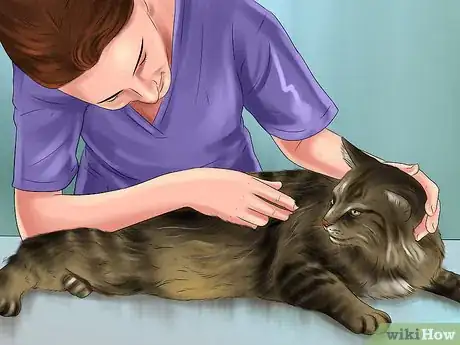 Image titled Administer Injectable Medication to a Cat Step 10