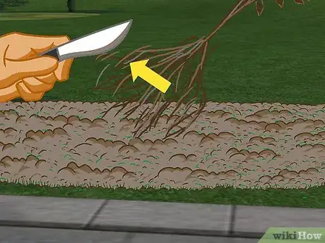 Image titled Plant a Beech Hedge Step 12