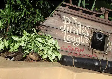 Image titled MK Pirates League