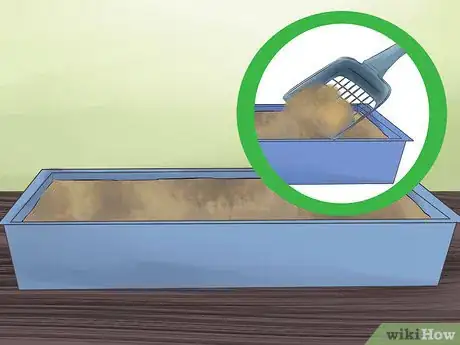 Image titled Get Your Cat to Know and Love You Step 13