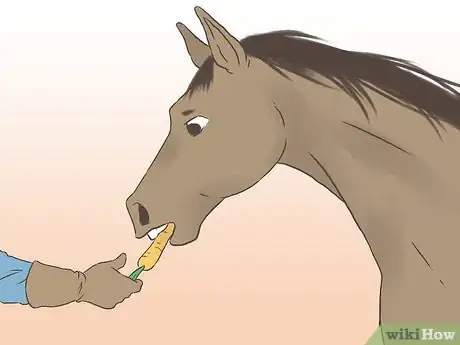 Image titled Get a Horse Fit Step 16