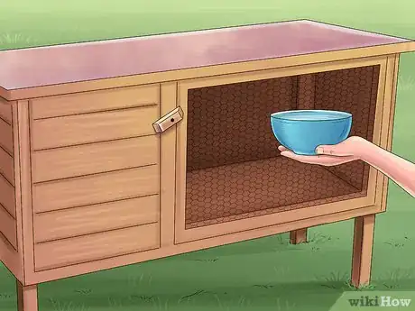 Image titled Keep Button Quail Groomed Step 3