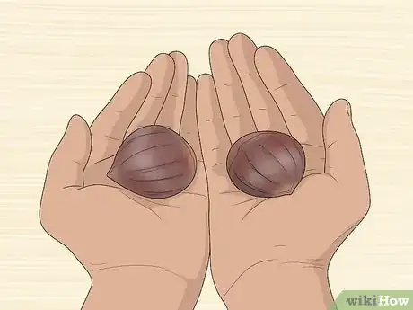 Image titled Pick Good Chestnuts Step 4