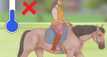 Get a Horse Under Control