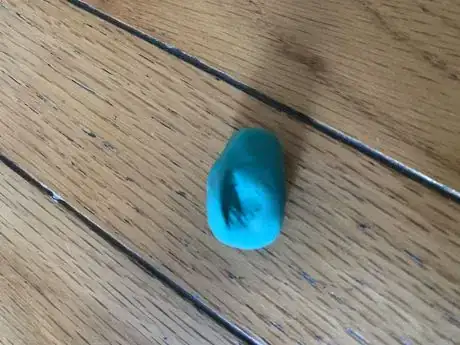 Image titled Sea Turtle Model Head 3.jpeg