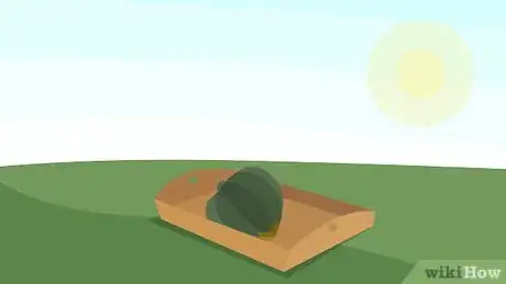 Image titled Grow Squash Step 18
