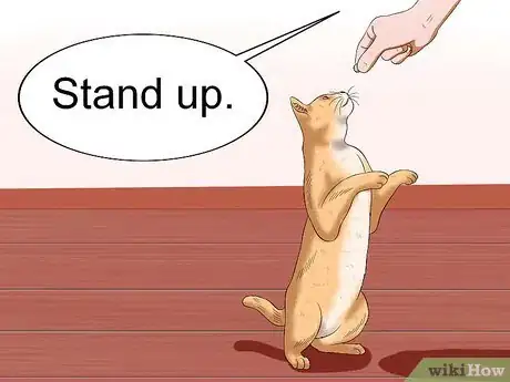 Image titled Get Your Cat to Stand Up Step 5