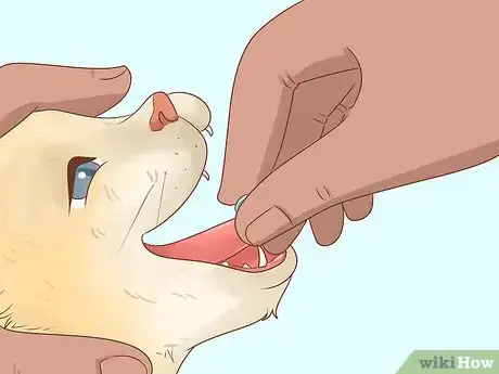 Image titled Give Codeine to Cats in Pain Step 11