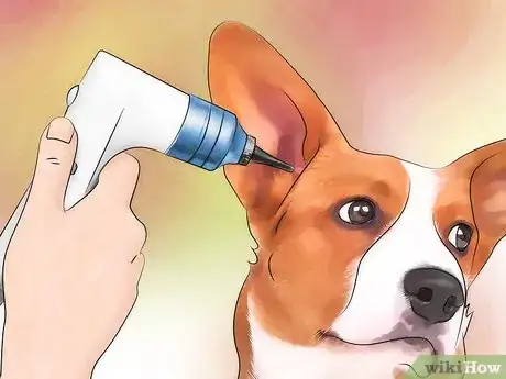 Image titled Prevent Canine Ear Mites Step 13