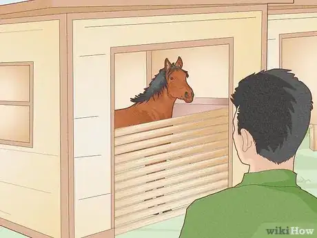 Image titled Look After a Horse Step 1