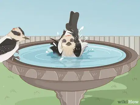 Image titled Attract Downy Woodpeckers Step 7