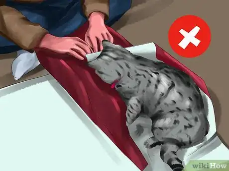 Image titled Responsibly Give a Cat As a Gift Step 13
