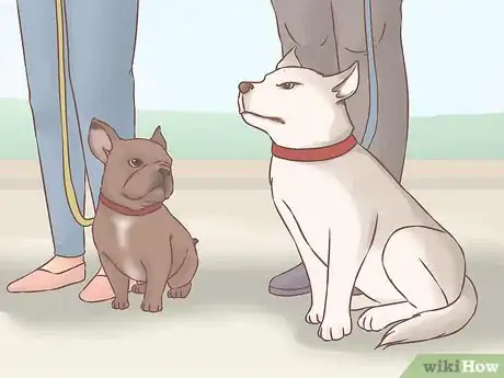 Image titled Become Friends with an Unfriendly Dog Step 16