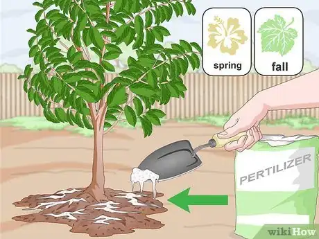 Image titled Plant Guanabana Seeds Step 19