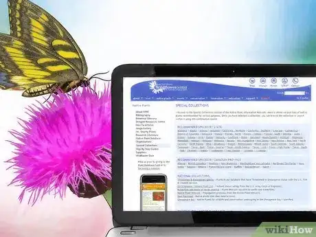 Image titled Attract Butterflies Step 10