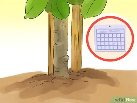 Image titled Prune a Quince Tree Step 1