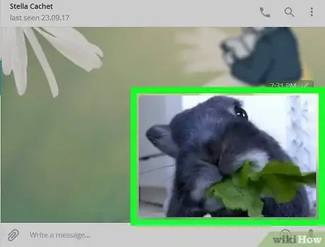 Image titled Save Telegram Gifs on PC or Mac Step 3